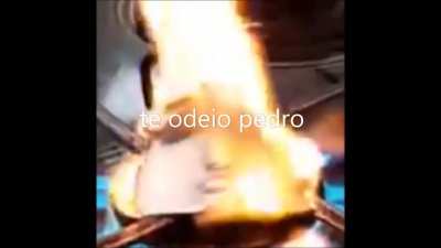 Pedro