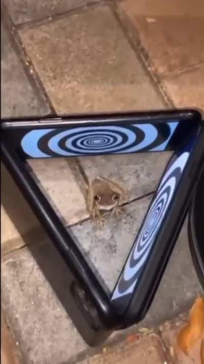 🐸