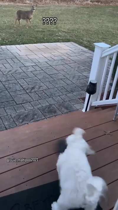 He sure knows how to step up