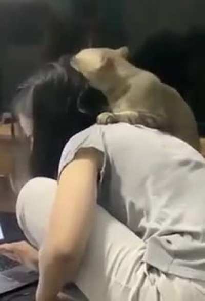 Touch tha hairs