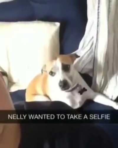Nelly wanted to take a selfie.