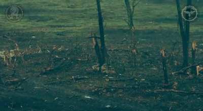 Two Russians soldiers abandon their wounded comrade and one of them gets killed by a drone, Avdiivka, 2023
