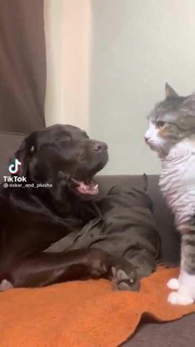 &ldquo;That hurts! ...I didn&rsquo;t say stop.&rdquo;
