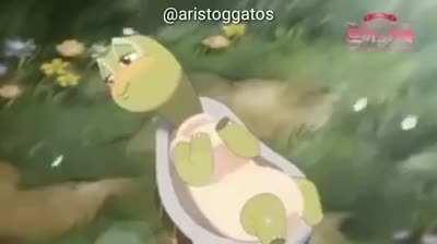 a tartaruga e o lebre vers&atilde;o hentai kkkk [nn tem nada d+]