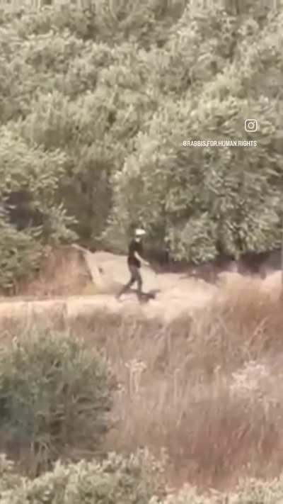 Days before the harvest, settlers strip olives off Palestinian trees. Awarta, 10.04.26. Generations of stewardship, stolen in minutes. "Rescue the robbed from the hand of the one who robs them" - Jeremiah 22:3