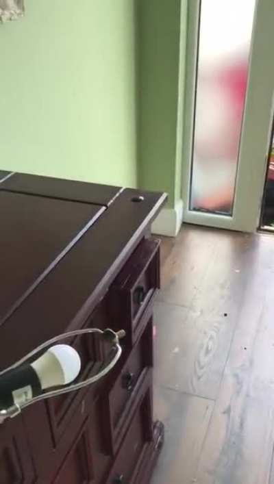Another idiot on a scrambler but this time going through a woman&rsquo;s front door