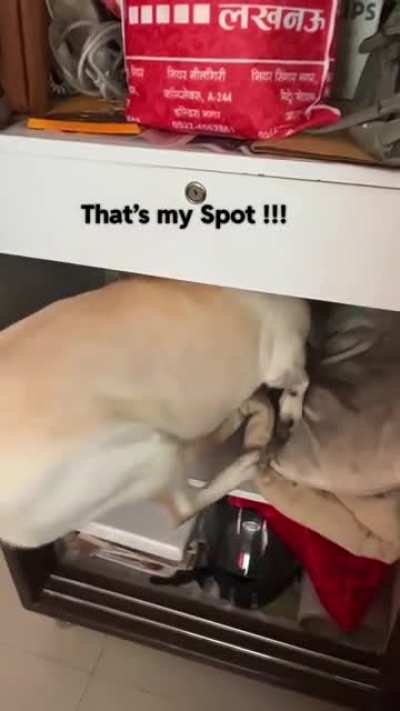 That&rsquo;s my Spot !!!