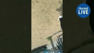 Helen Zille dragged out of Fernwood Primary School voting station in Bethelsdorp by policeman