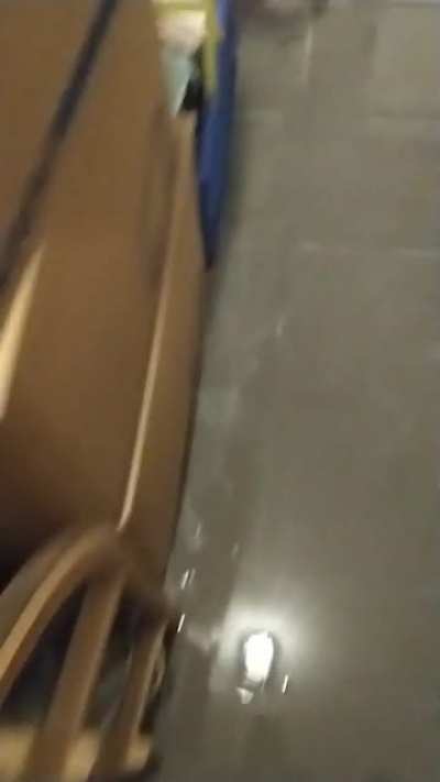 Basement got flooded in Germany during heavy rain