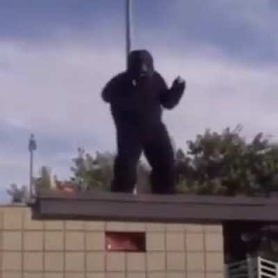 Monk&ecirc;