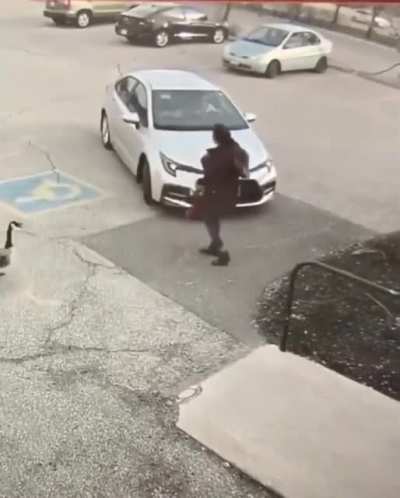 The annoying goose