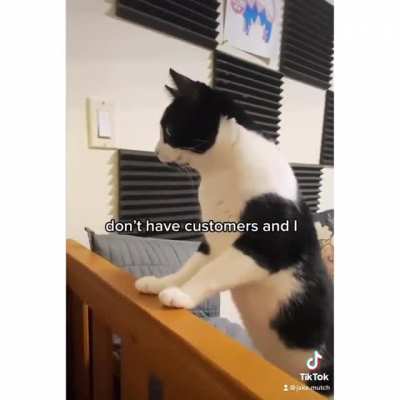 Kitty Store Song