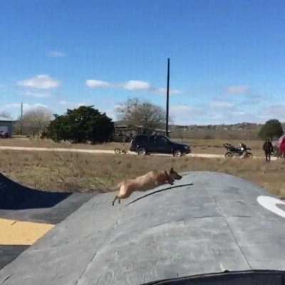 HMK while I go mega skater boiSuccess