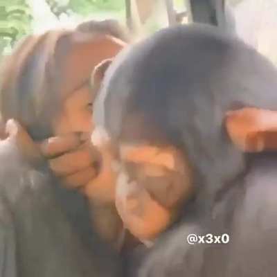 monke dream