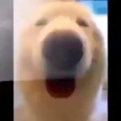 holesum