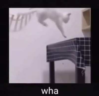 😳