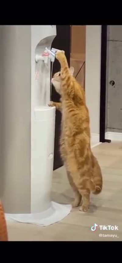 Mmm fresh water