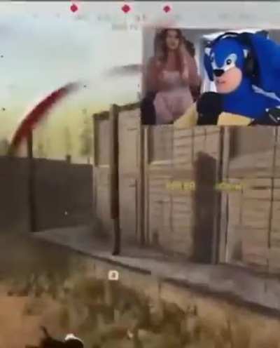 Sanic