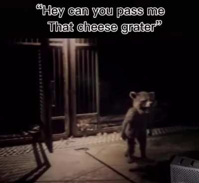 furry_irl