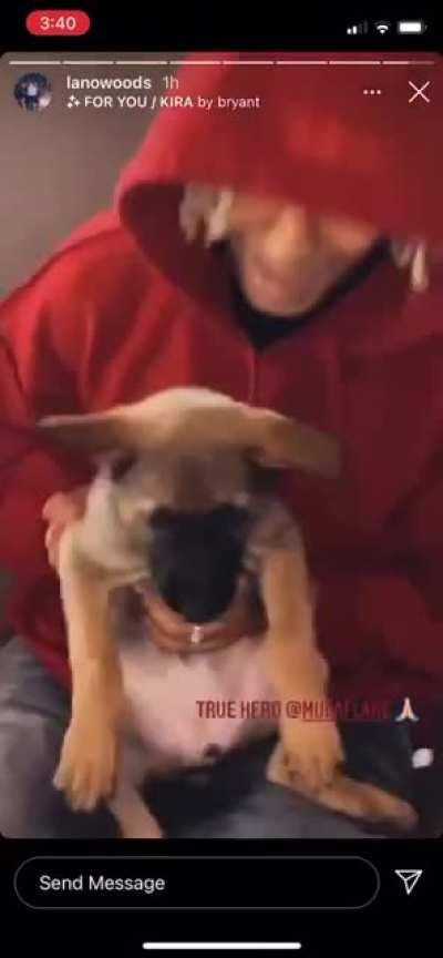 A follow up to the video going viral of the crazy woman who throws a puppy at a man.