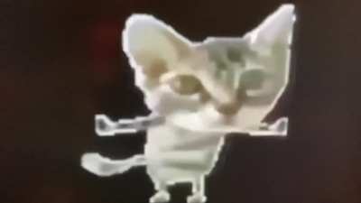 This meme (bad recording from My tv,old clip) can&rsquo;t find it for the life of me.
