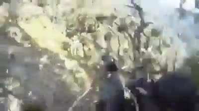 Bird flies into paraglider. Takes them both down. Survives to live another day.