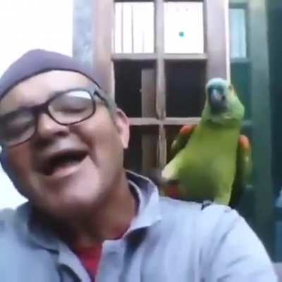 Aha