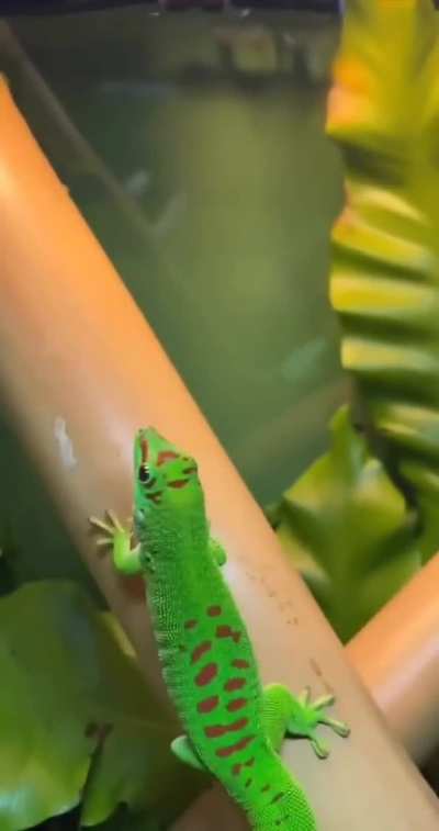 Don't touch >:(
