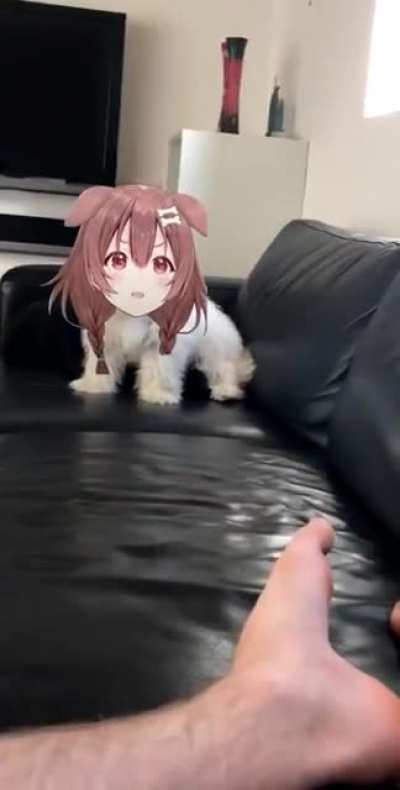 haha yubi yubi