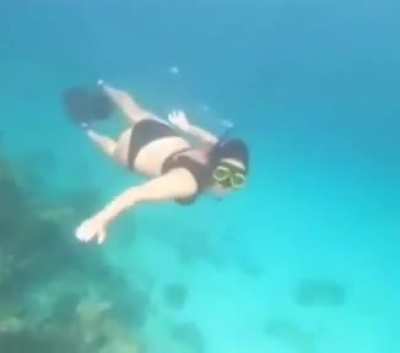 Scuba diving