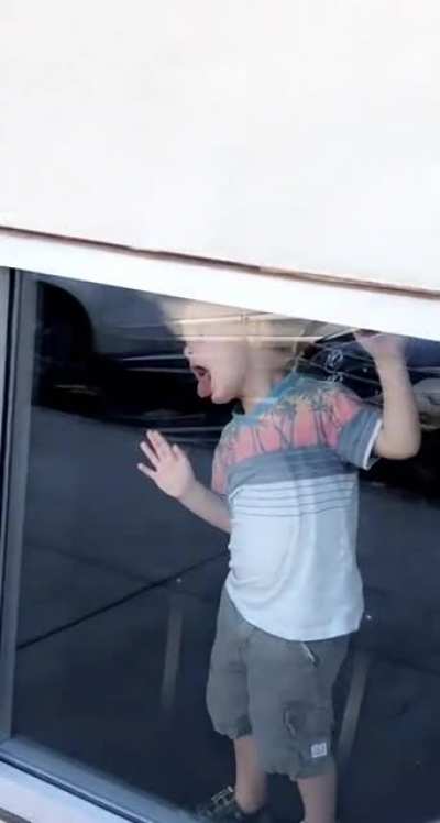 Window cleaner