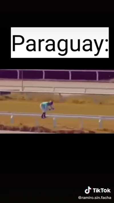 😲😲😲😲😲😲😲