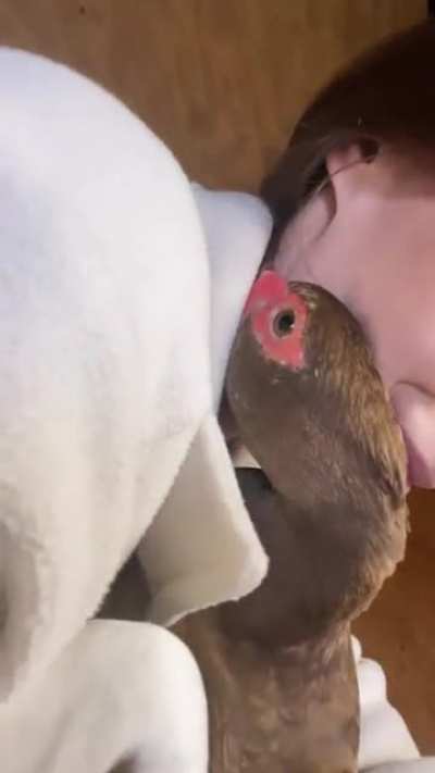 Duckie hug
