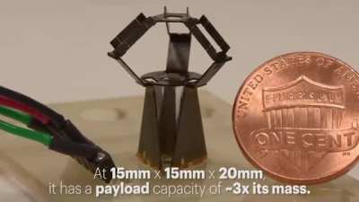 Delta Robots are comprised of three articulating arms connected to an output stage. They are extremely precise and agile, and can be used for &ldquo;pick &amp;amp; place&rdquo; and 3D Printing.