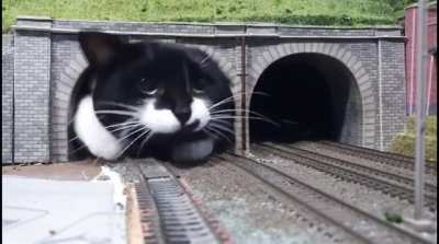 The name&rsquo;s Thomas