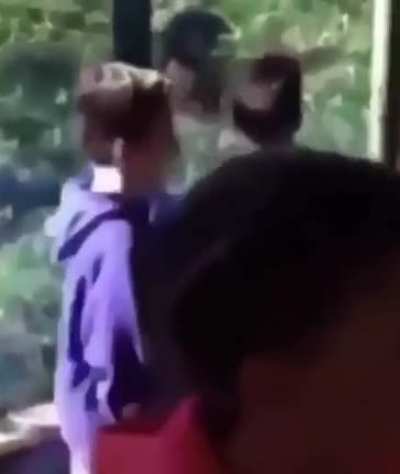 MONKE