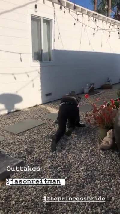 🍑