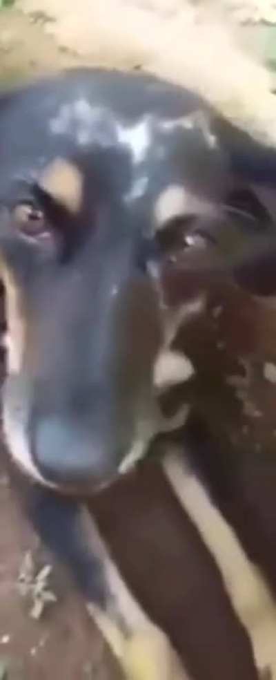 🤔🤔