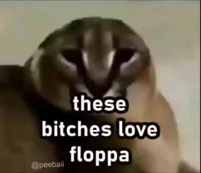 Floppa Friday &amp;gt; any day