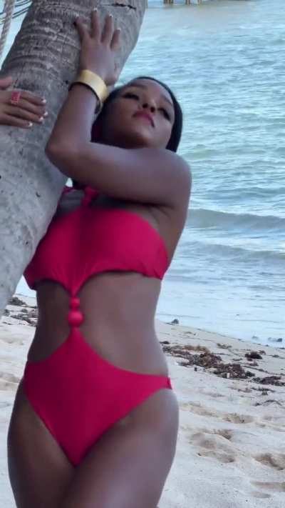 Janelle Mon&aacute;e