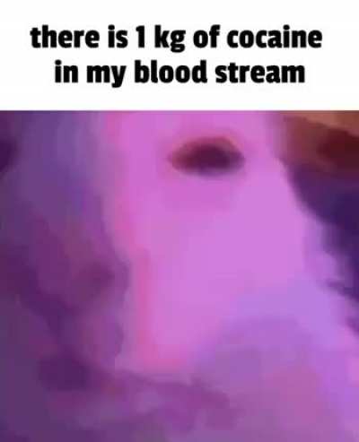 Cocaine rule