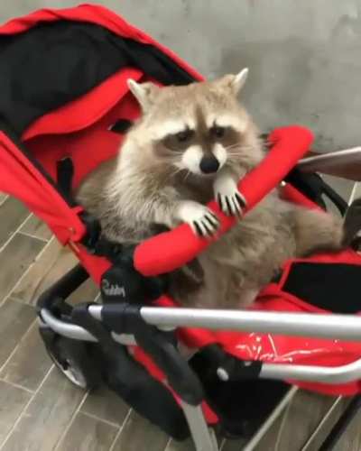 Ma'am, your baby is very cute