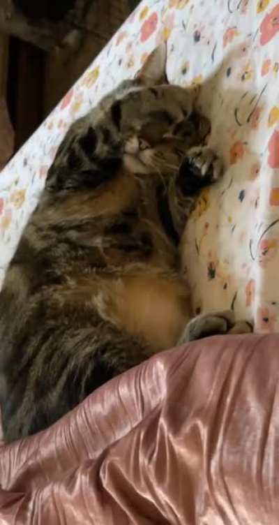Snoozin&rsquo;