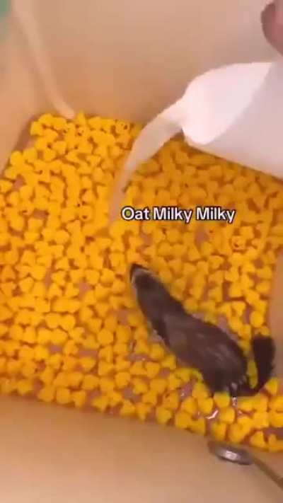 Bath Rule