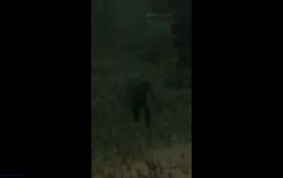 Number 15