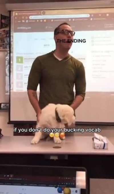 Don&rsquo;t bring the dog into this