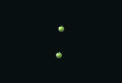 I visualized apple with apples
