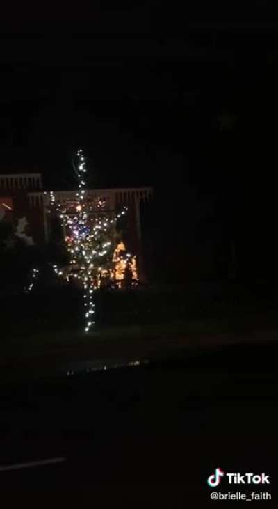 These Christmas decorations arguing
