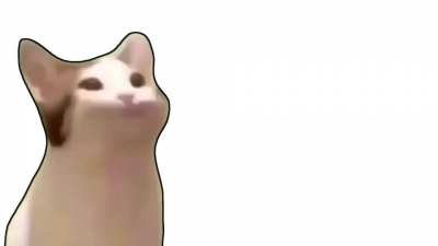 gato