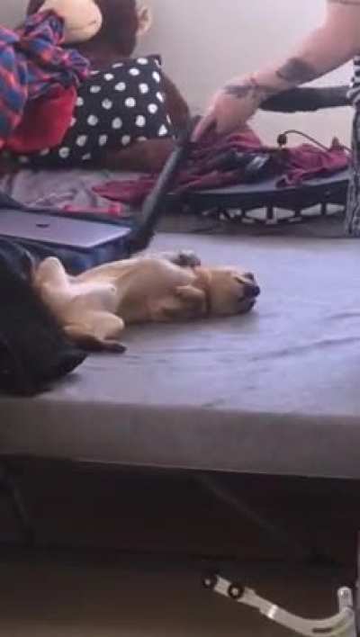 Ok let me just check the living room and... oh, ok